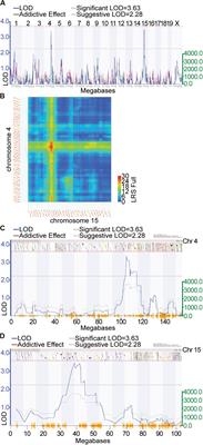 Discovery of a Role for Rab3b in Habituation and Cocaine Induced Locomotor Activation in Mice Using Heterogeneous Functional Genomic Analysis